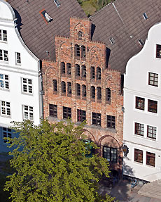 Vorderansicht des Hausbaumhauses